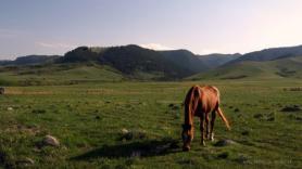 A field near Story, in Sheridan County. Andrew Tkach.