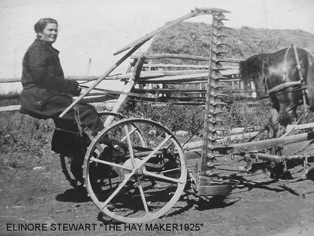 stewart2.jpg