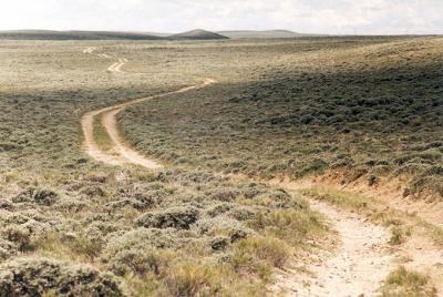 Livestock found the easiest way across the landscape. Classic trail sinuosity between South Pass and Pacific Springs, Wyoming. Terry Del Bene photo.