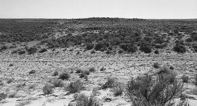 Paleo Indians killed and processed bison at the Finley site between 12,500 and 7,500 years ago. SHPO photo.