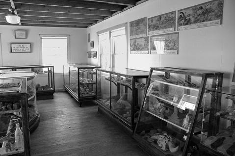 Interior of the Fossil Cabin museum, as of 2011 closed to the public. Wyoming SHPO photo.