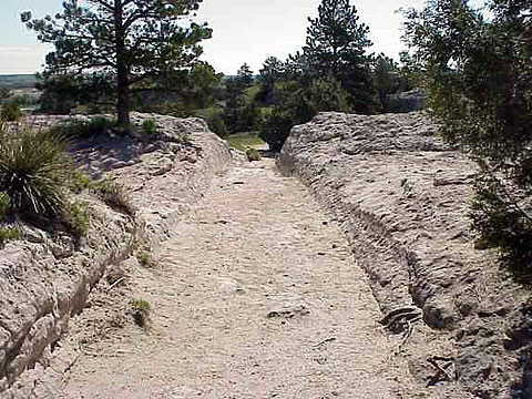 Oregon Trail Ruts, near Guernsey, Wyo. Wikipedia photo.