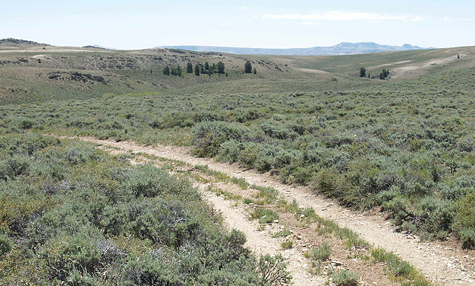 Lander Trail near Sharp Creek meadow, looking southeast toward South Pass and Oregon Buttes. Will Bagley photo.