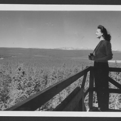 Woman on the balcony of a fire tower lookout gazes over a distant forested horizon
