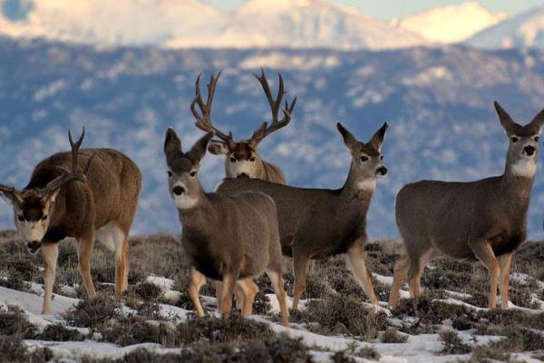 can you visit indian reservations in wyoming