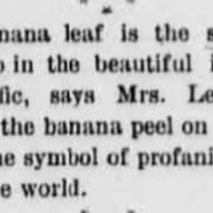 The Daily Boomerang (Laramie), February 14, 1891, 4.