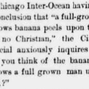 The Cheyenne Daily Sun, June 25, 1880, 3.
