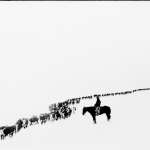 This may be Belden’s best-known picture. He titled it 'A Long, Long Trail A-windin' ' after a World War I-era popular song. Buffalo Bill Center of the West.