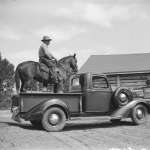 This Belden photo might have been an advertisement for the tough Plymouth trucks a person could buy at the Mulvaney Motor Company in Billings, Mont.—or just a spoof. American Heritage Center.