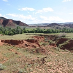 Looking south down the ravine from which Whirlwind and other Cheyenne warriors jumped up to fire point-blank at the advancing cavalry, stopping their charge. The village was along the creek; Shoshone warriors fired down onto it from the bluff, at left. Tom Rea photo.