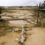 A cross marks the area where University of Wyoming college student Matthew Shepard was beaten and left tied to a fence shortly after midnight on Oct. 7, 1998 in Laramie. He died in a Colorado hospital a week later. The fence has since been torn down. Dan Cepeda, Casper Star-Tribune.