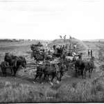 Threshing oats on the Carey Ranch west of Douglas, Wyo., 1903. J.E. Stimson, Wyoming State Archives.