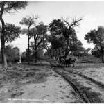 Stimson documented Wyoming farms, ranches, mines, mills, railroads and towns, but pleasant scenery always drew him back. This scene is near Bates Creek, Natrona County, 1903.