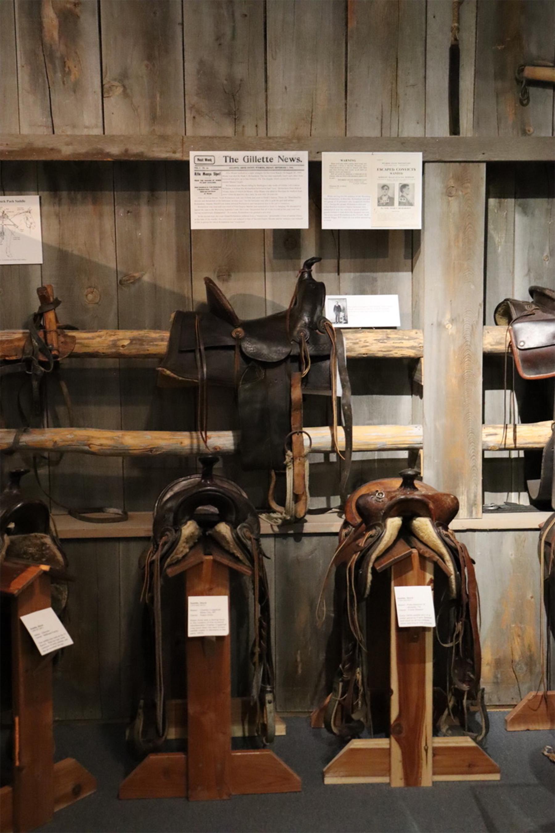 Allie Means’s high-cantled saddle, center top, at the Rockpile Museum in Gillette—the same saddle he rode the day he attempted to escort Frances Williams home. Rockpile Museum.