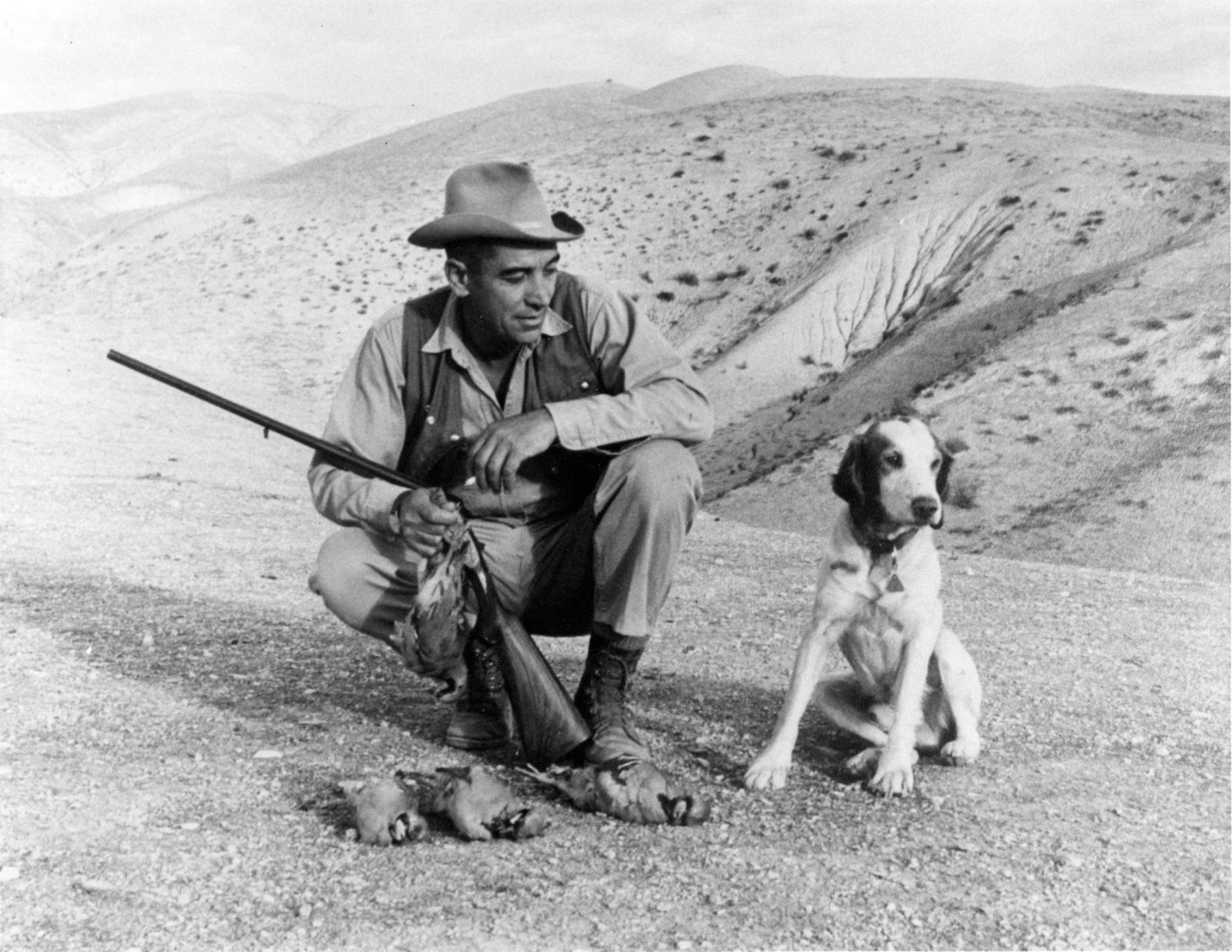 Starker Leopold was an avid hunter himself, and as a scientist, continually called for game managers to make more animals available to hunters, usually by improving habitat. Here, he pauses with gun, dog and three dead chukkar partridges in the Tremblor Range in California, November 1955. Leopold collection, University of Wisconsin-Madison archives.