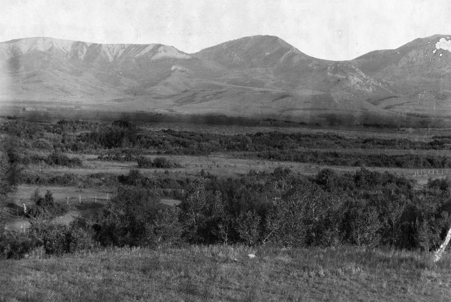 Looking across Little Goose Creek toward Moncreiffe Ridge, 1901, about the time Vie Willits left the valley to study in Laramie. U.S. Geological Survey. 