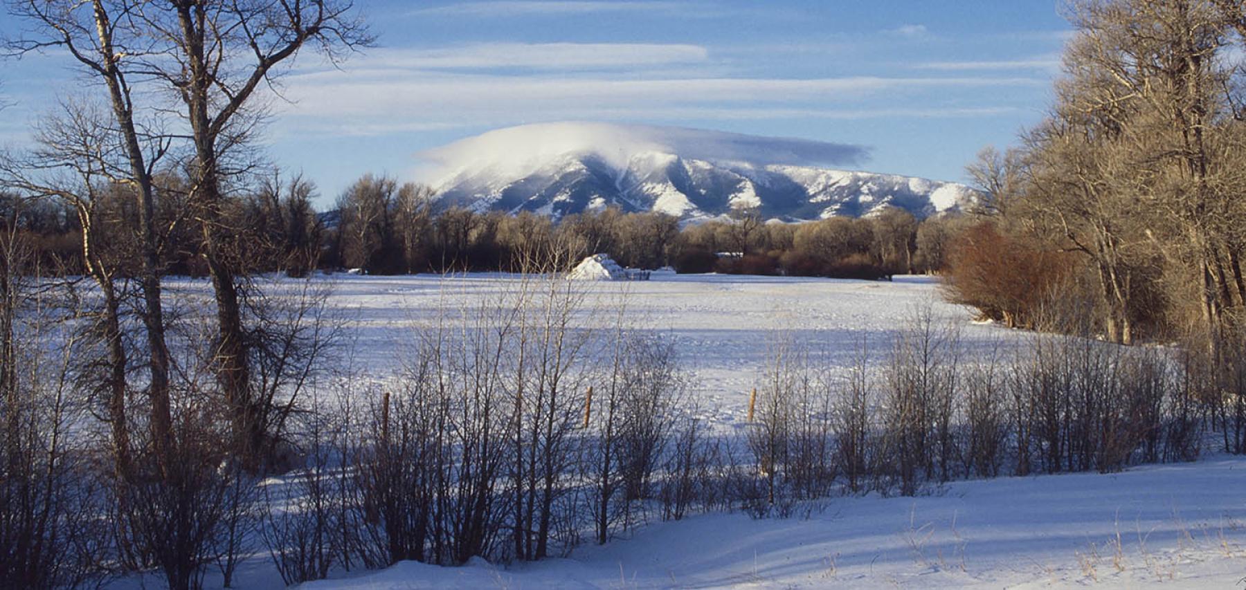 A view from Interstate 80 toward Elk Mountain and hayfields along the Medicine Bow River, December 16, 1985. Sunny winter landscape of snowy plains with trees and mountains in the distance