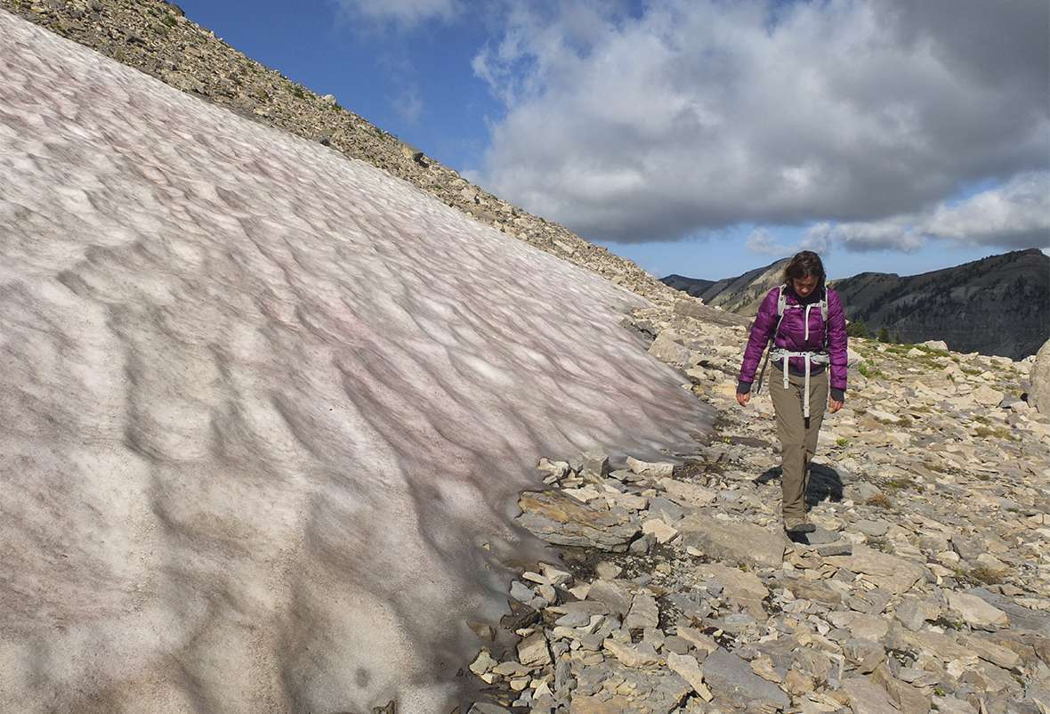 National Park Patches Have a Hundred Year History