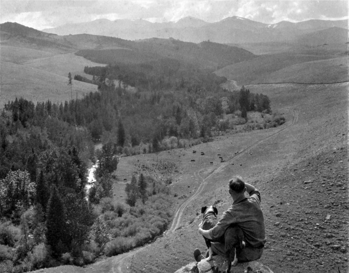 In this undated photo, man and dog look down on the Black and Yellow Trail in the Bighorn Mountains. King Collection, Wyoming State Archives.