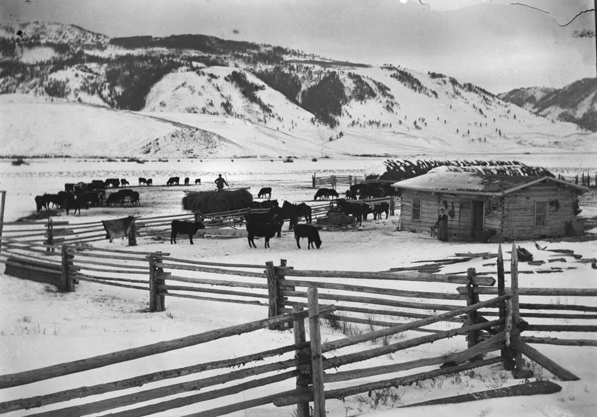 In 1888, at age 30, Stephen Leek homesteaded a ranch three miles south of today’s  Jackson, Wyo., in an area now known as South Park. This photo shows the corrals and ranch house in 1891. American Heritage Center.