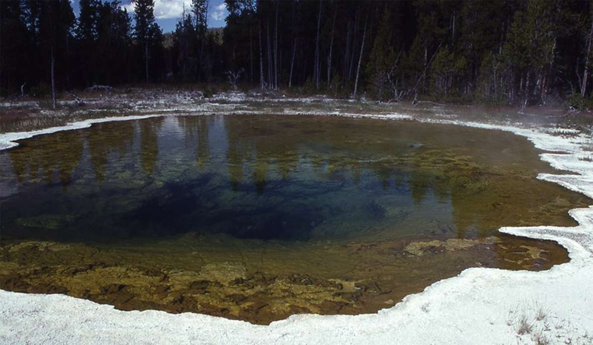 Mushroom Pool or Mushroom Spring in Yellowstone’s Lower Geyser Basin, where Brock and his team discovered Thermus aquaticus in the 1960s. NPS photo.