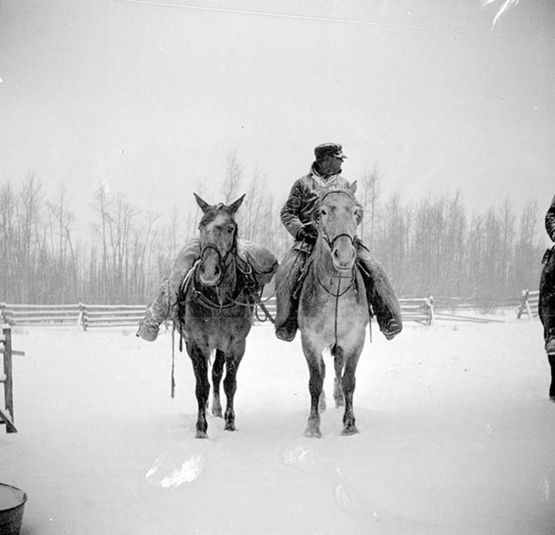 Lora Webb Nichols: An Eye on Early Wyoming | WyoHistory.org