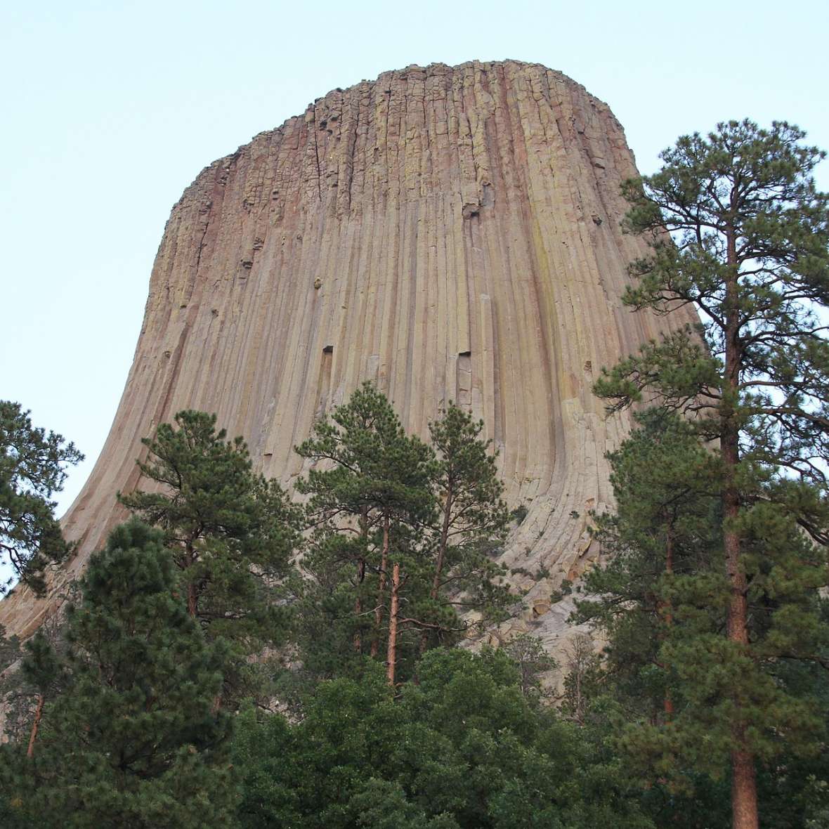 Devils Tower today. Wikipedia.