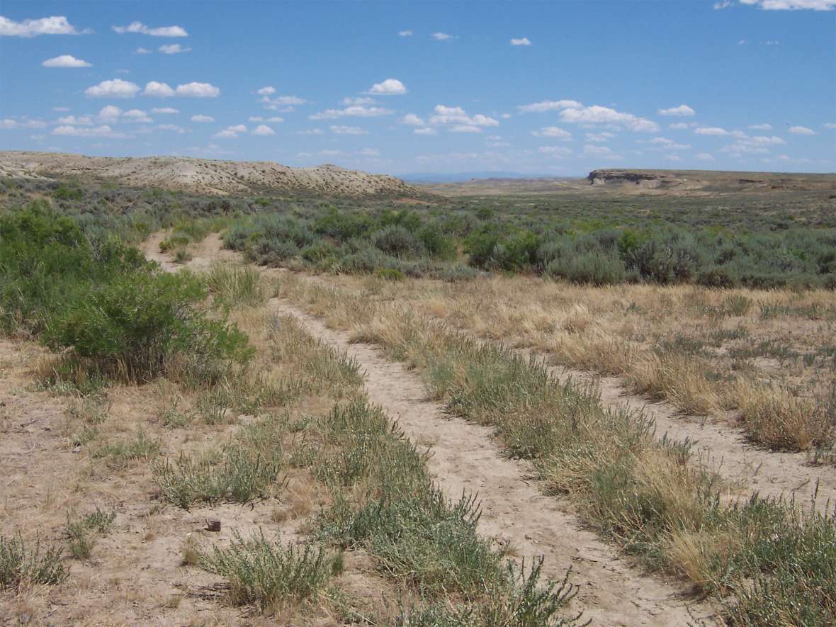 A stretch of the Overland Trail along Muddy Creek between Sulphur Springs and Washakie Stations. The U.S. Army recognized in the 1850s that travel across the Overland Trail would be difficult given the lack of water, grass and fuel. Author photo. A stretch of the Overland Trail along Muddy Creek between Sulphur Springs and Washakie Stations. The U.S. Army recognized in the 1850s that travel across the Overland Trail would be difficult given the lack of water, grass and fuel. Author photo.