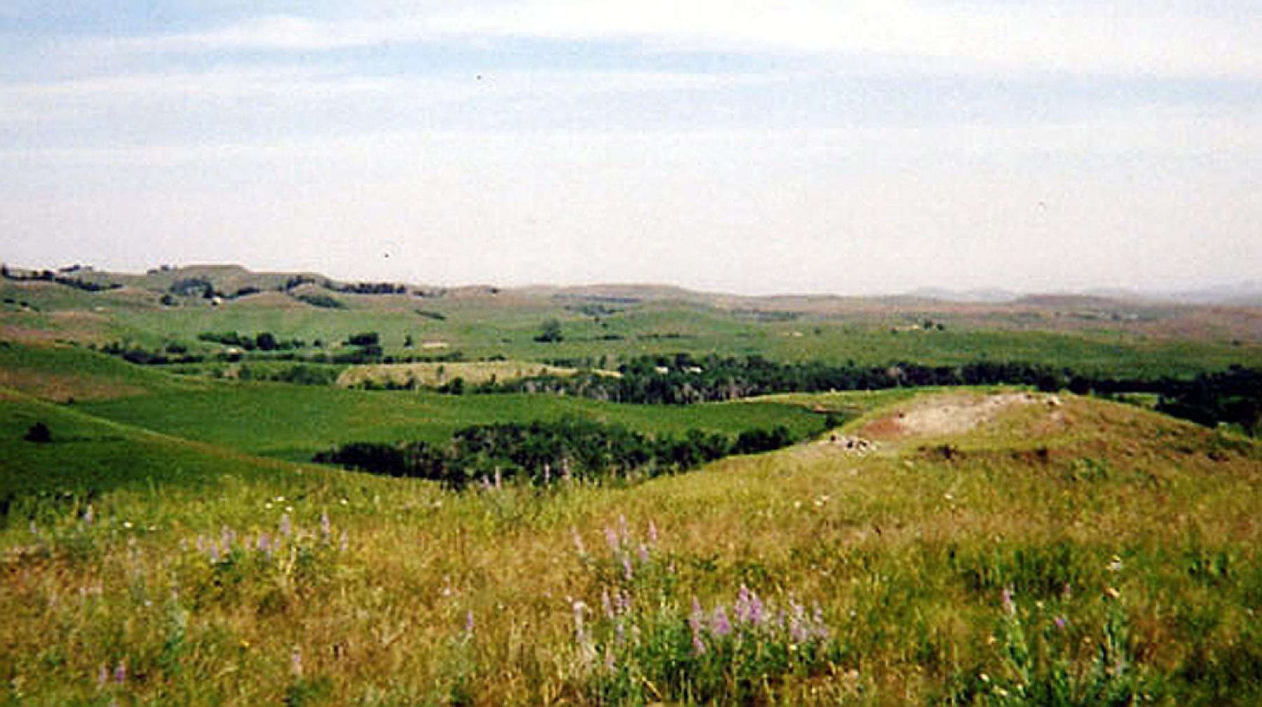 Register Cliff | WyoHistory.org