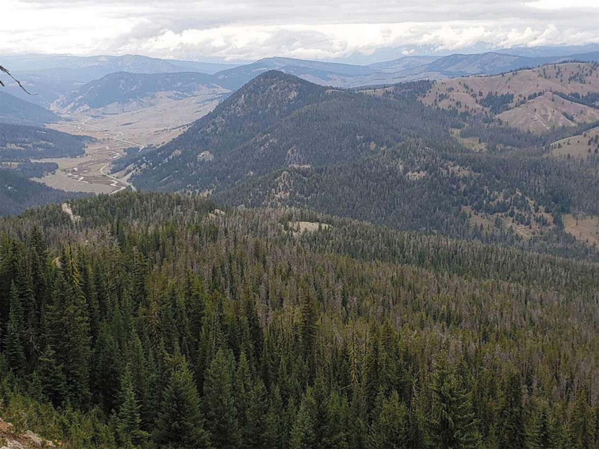 The view from the northwest corner of Wyoming today, looking northwest into Montana down the Gallatin River and U.S. Hwy 191. The Richards party reached here in late August 1874. The log they left to mark the spot was still standing when other surveyors visited in 1958. Cody Schatz photo.