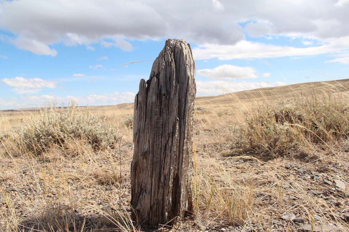 Some 27,000 poles were set every 75 yards over 1,086 miles from Fort Kearny, Nebraska Territory, to Fort Churchill, Cal. In the four months it took to build the line. A few stumps of the poles survive today in the area around South Pass. Jason Vlcan photo.