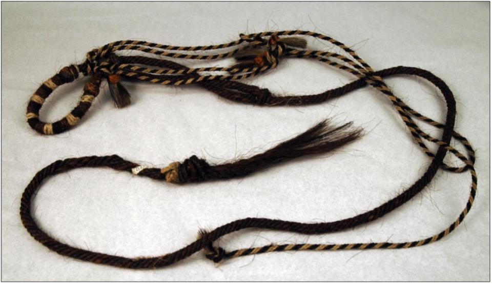 Horsehair Hackamore G-1968.67.3 long rope of varying thicknesses