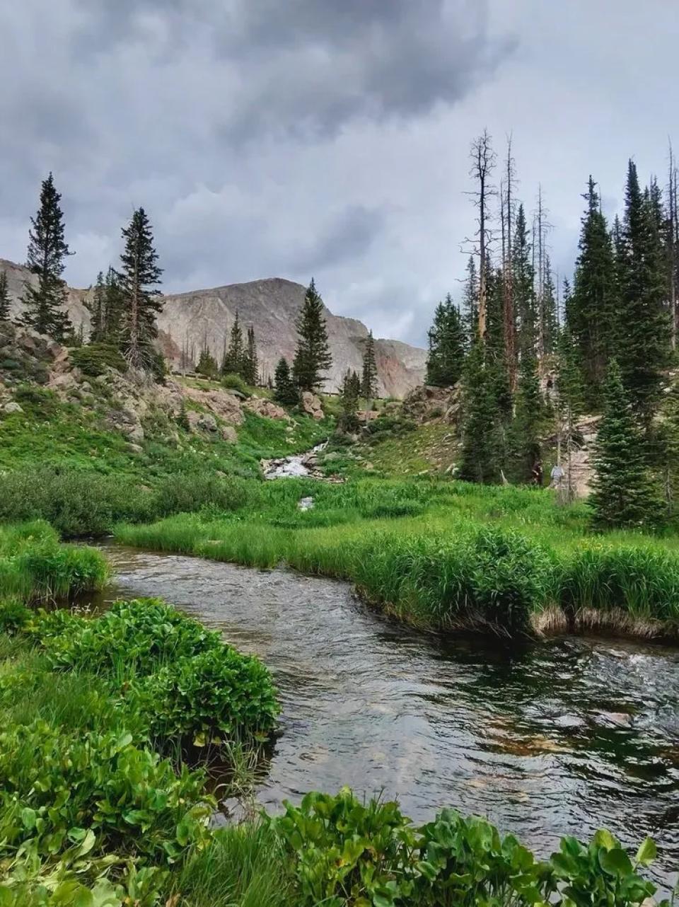 A view of Libby Creek in the Snowy Range. Summer image of a green mountain meadow with stream meandering through and granite mountain in the background