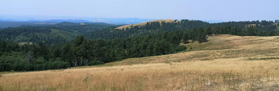 Panoramic view of prairie and forest