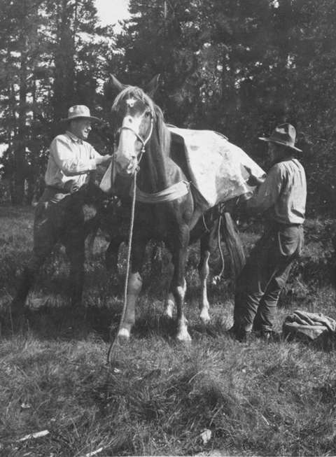 Facilitating backcountry travel is an essential duty of outfitters in hunting camps and on the trail. Park County Archives.