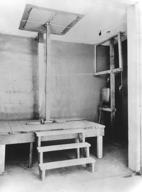 The hydraulic gallows image of gallows: wood platform with steps to a surface with a trap door and a post for attaching the noose