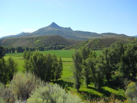 Landscape of an open meadow in the foreground with a pointed peak dominating the distance on a clear summer day